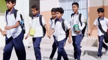 بالرقم القومي.. رابط الاستعلام عن نتيجة الشهادة الابتدائية في القاهرة والمحافظات المصرية